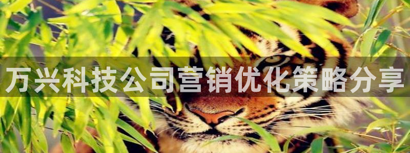 金年会-金字招牌信誉至上
