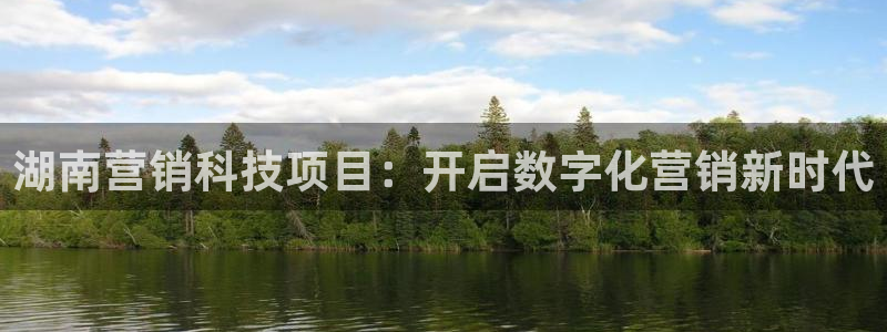 金年会网址导航下载