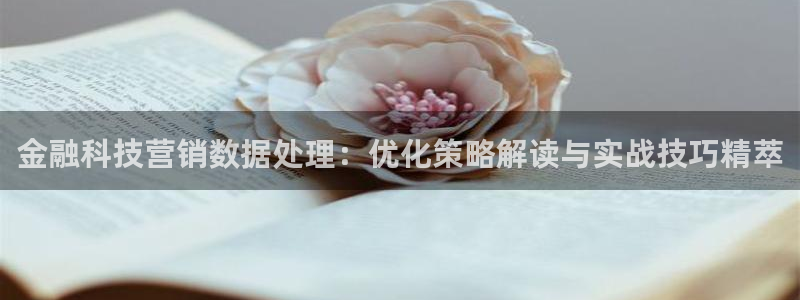 金年会电子游