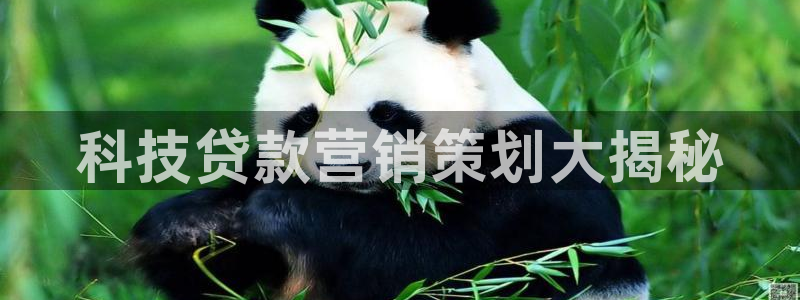 金年会官方入口2023