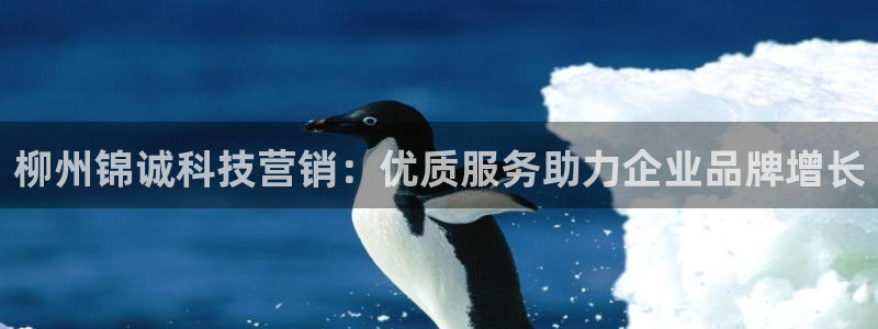 金年会体育平台怎么样