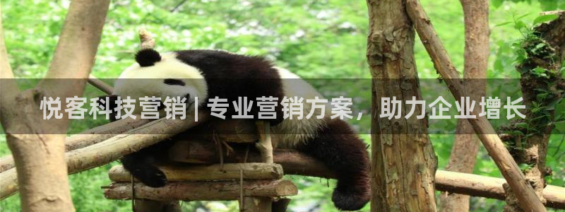金年会金字招牌诚信至上