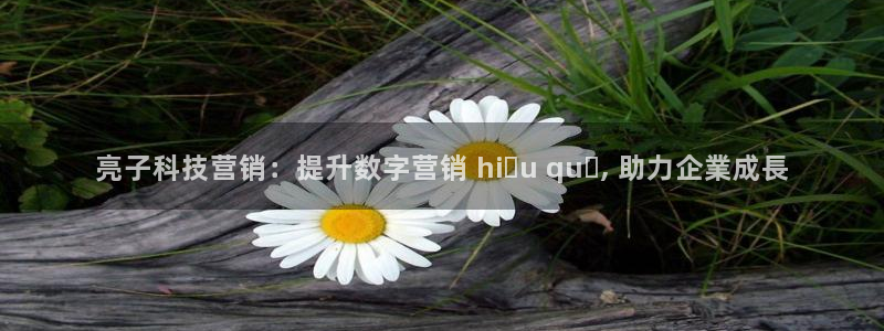 金年会体育官方平台