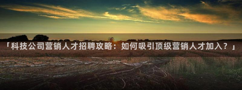 金年会体育网址是多少