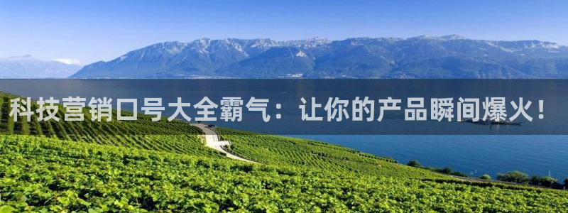 金年会体育网址登录