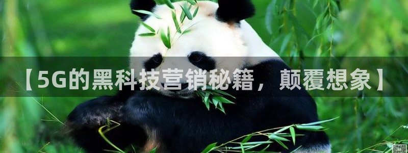 金年会下载官方