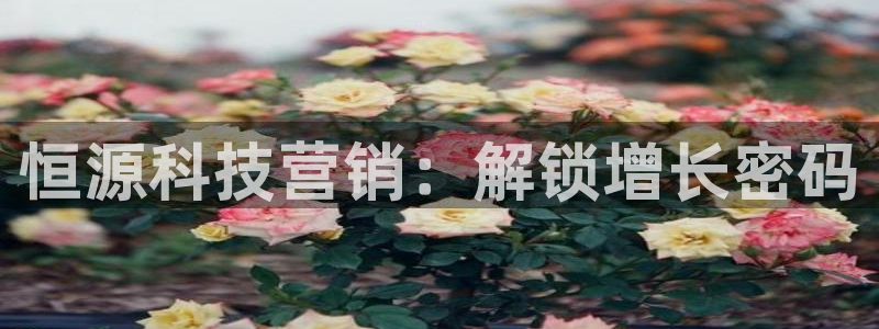 金年会体育app下载官网苹果手机
