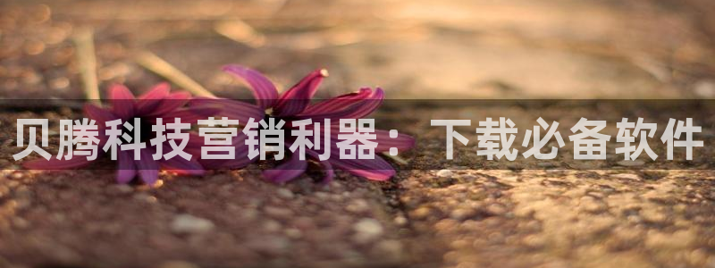 jinnian金年会体育在线入口