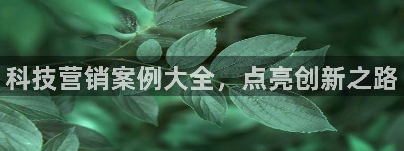 金年会体育怎么样