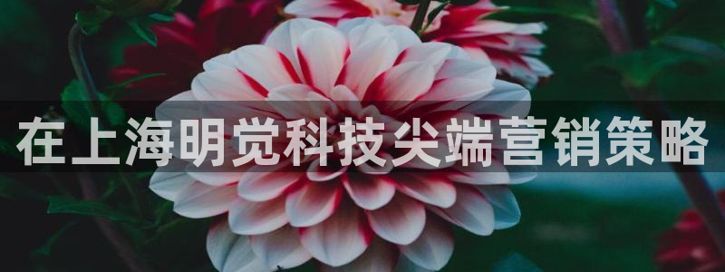 金年会体育官方入口