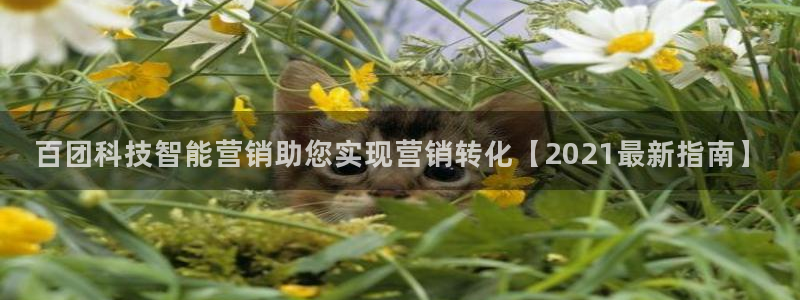金年会金字招牌信誉至上365