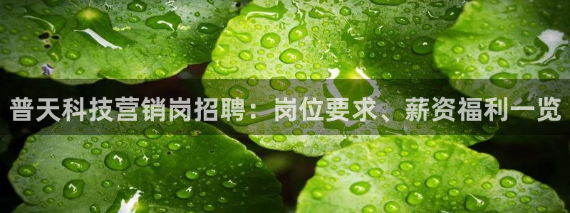 金年会体育一直输