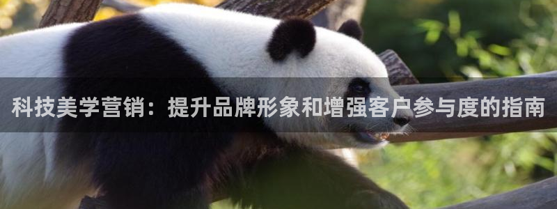 金年会体育官网是多少