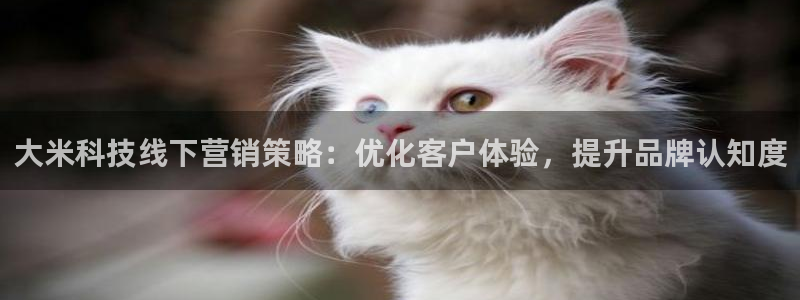 金年会网站不给出款怎么办