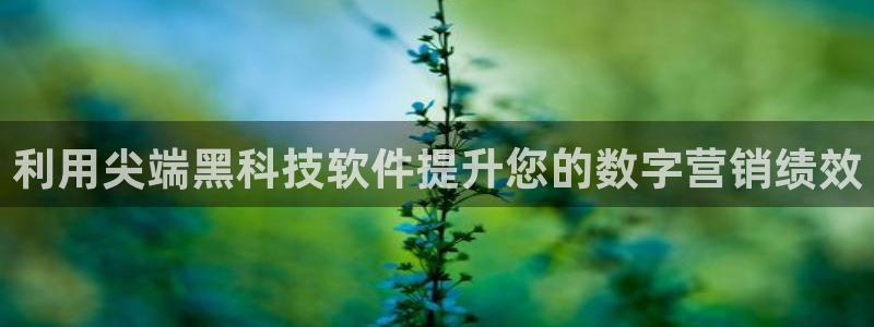 金年会体育官方app下载安卓