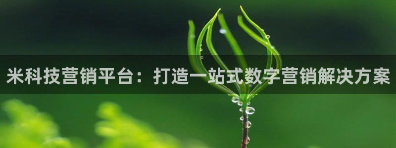 金年会电子app官方下载