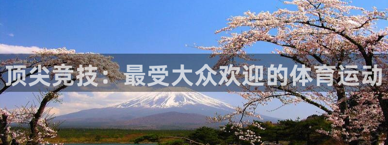 3377体育手机平台：顶尖竞技：最受大众欢迎的体育运动